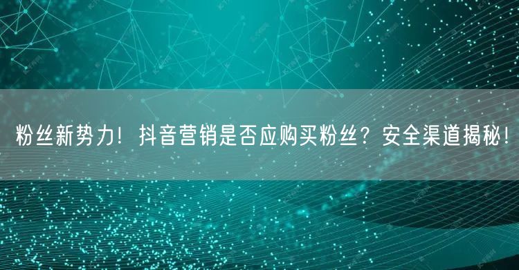 粉丝新势力！抖音营销是否应购买粉丝？安全渠道揭秘！