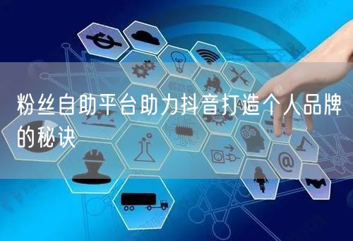 粉丝自助平台助力抖音打造个人品牌的秘诀