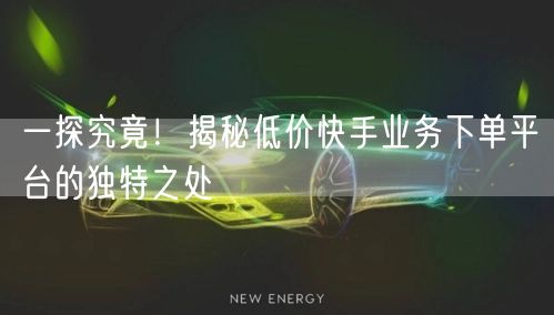 一探究竟！揭秘低价快手业务下单平台的独特之处