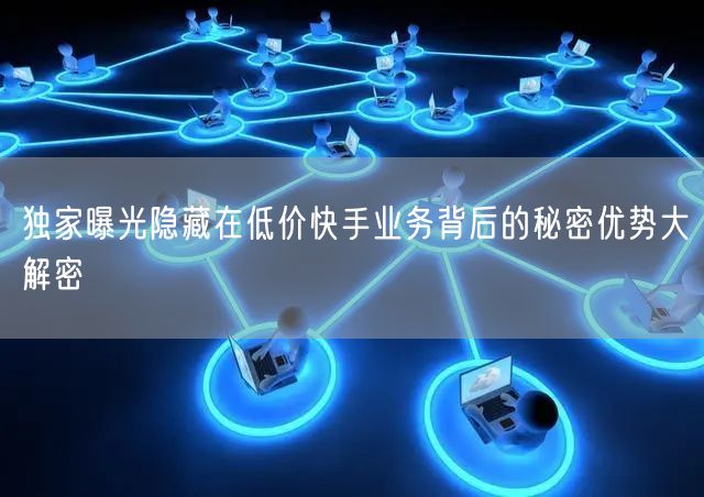 独家曝光隐藏在低价快手业务背后的秘密优势大解密