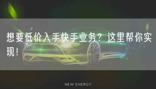 想要低价入手快手业务?这里帮你实现!