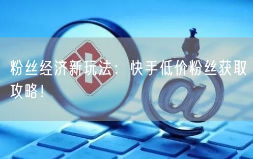 粉丝经济新玩法：快手低价粉丝获取攻略！