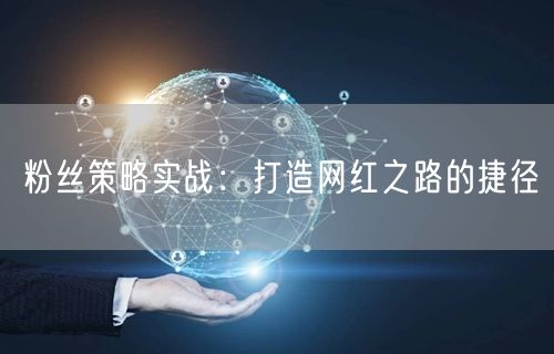 粉丝策略实战：打造网红之路的捷径