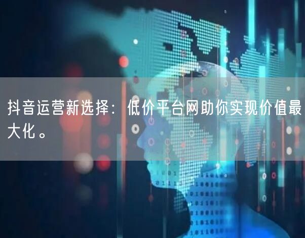 抖音运营新选择：低价平台网助你实现价值最大化。