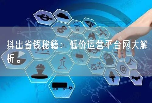 抖出省钱秘籍：低价运营平台网大解析。